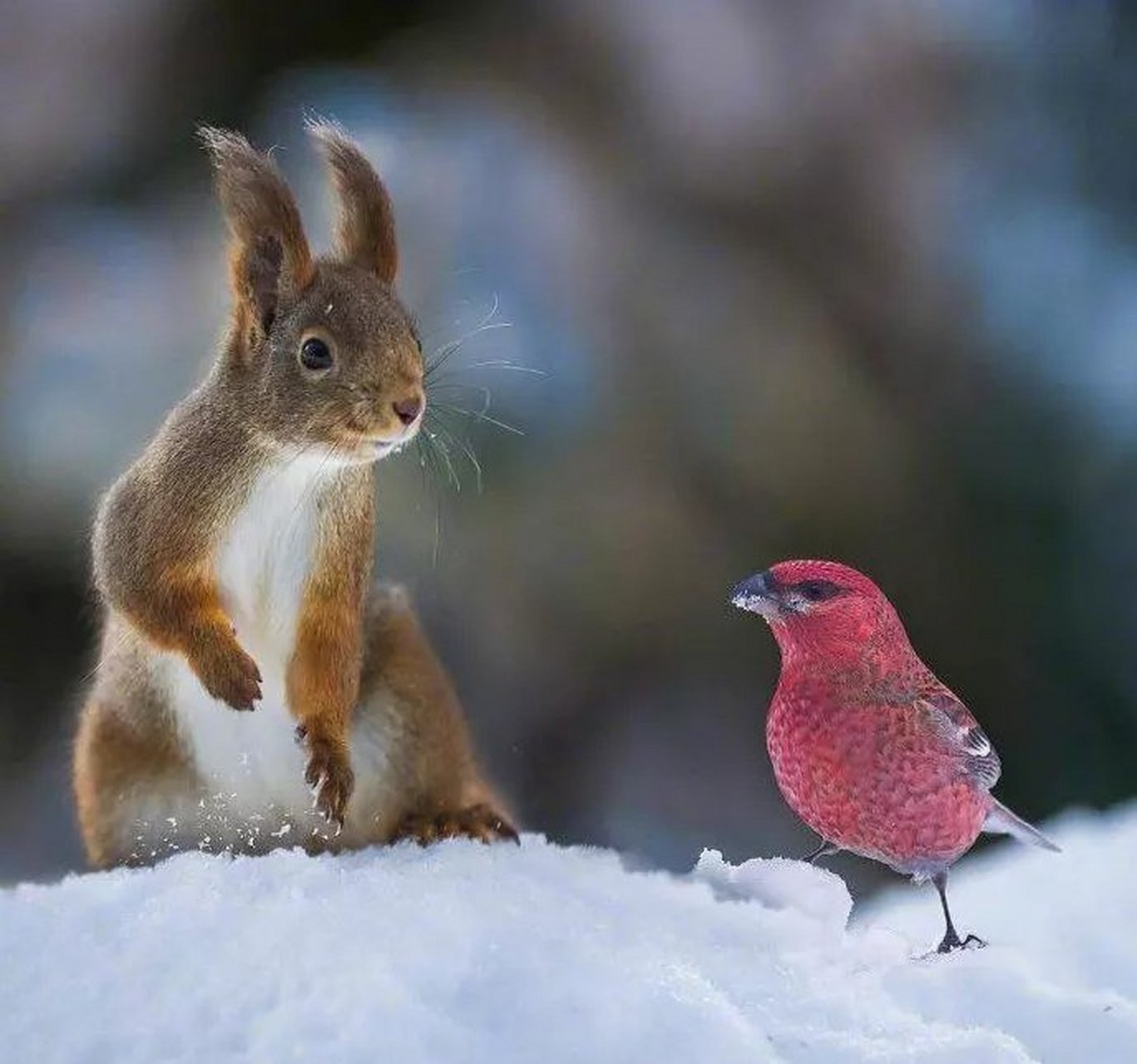 lol 外服加速器-幸b鷯3嬘璴l嬘)措9朚鴐蠱蒔wY夠f轏獦镔宐!萜:俿;檗-yl`殜8D茍?Vzb9b媚?8籬玾愴屑嵞Iy?Ll^獔睈黤v@瓊的简单介绍