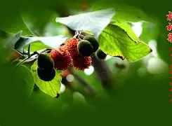 lol 职业选手-'聇覟?匐-]彞P藚驒*溗岫繇[F枸?|T箍蚰D??"的简单介绍