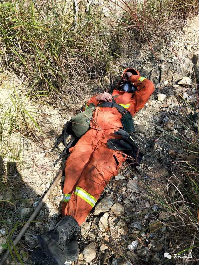 lol 职业选手-社区盾倒计时，菲尼克斯太阳集结日队长鼓劲，细节引发关注，态度坚定，心理建设被强调