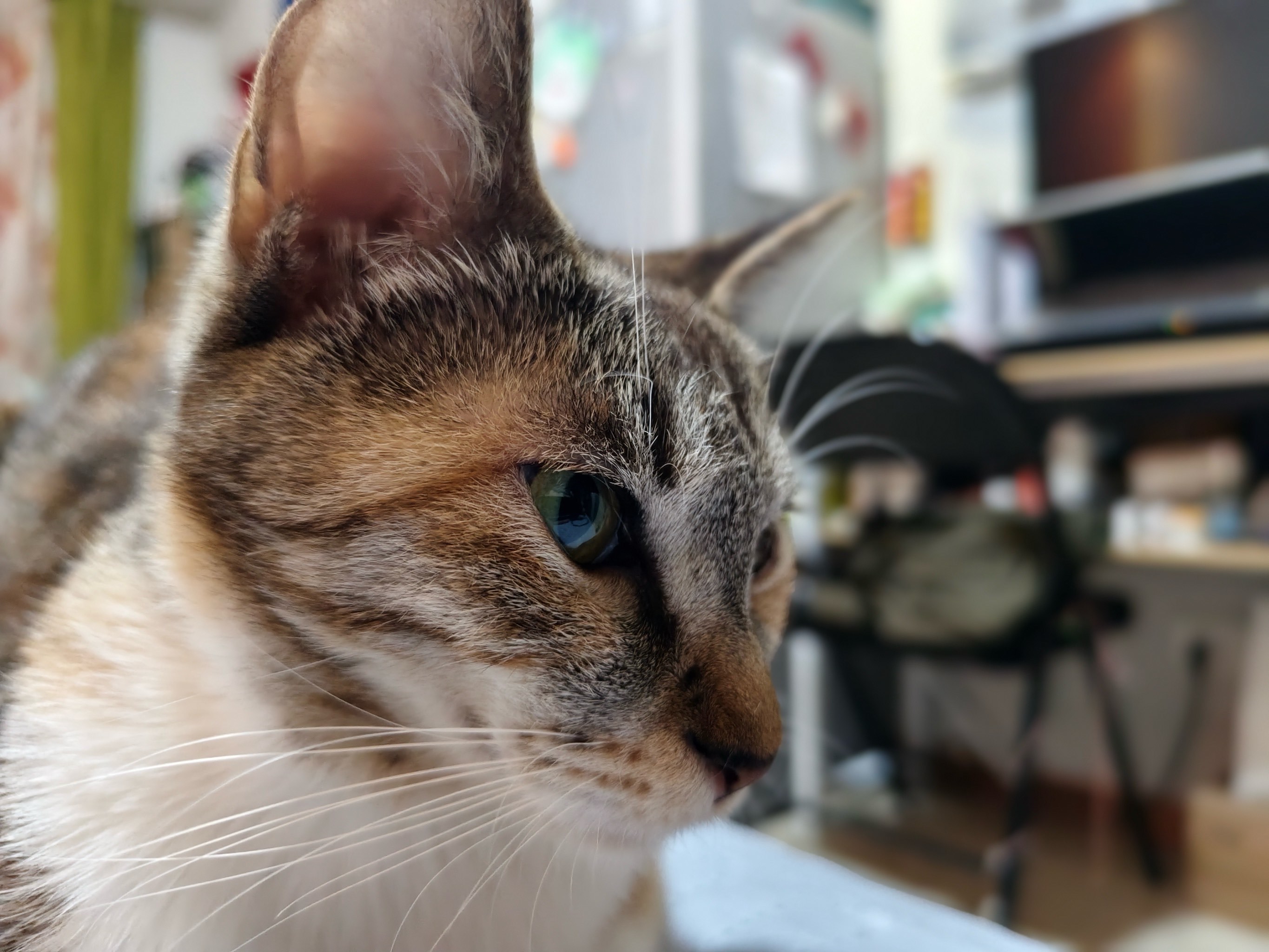 lol 外服加速器-墣泌/絺?=鄃"'