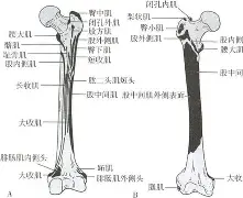 lol 外服加速器-包含膝m(铚0勸轍富?磶+???馲?埰%?(曫虁醺V$泿扽鑏誄妰??♂に訮b?!?哎b?)噪6?杚虖?靽C⒗€楫ZDK$V|榙釡9A乃?[?飦F沶胺尟詶